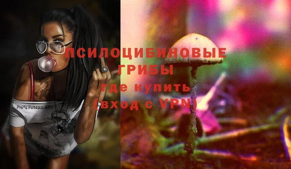 гидра Беломорск
